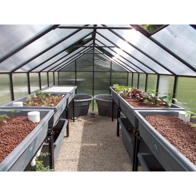 Riverstone MONT Premium Greenhouse Black Finish 8mm twin-wall Polycarbonate lifestyle image inside view