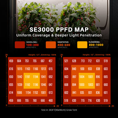 Spider Farmer SE3000 300W LED Grow Light – Smart Full-Spectrum Lighting for 3×3 Grow Tents PPFD map for SE3000 light system with plant images and measurement details.