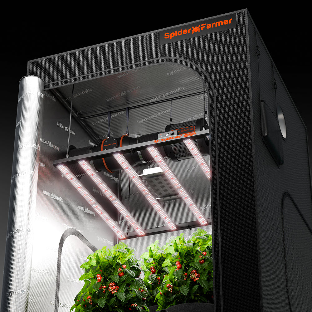 Spider Farmer 4x4x6.5 Smart Grow Tent Kit – SE5000 EVO LED, GGS Controller Spider Farmer indoor farming system with plants inside