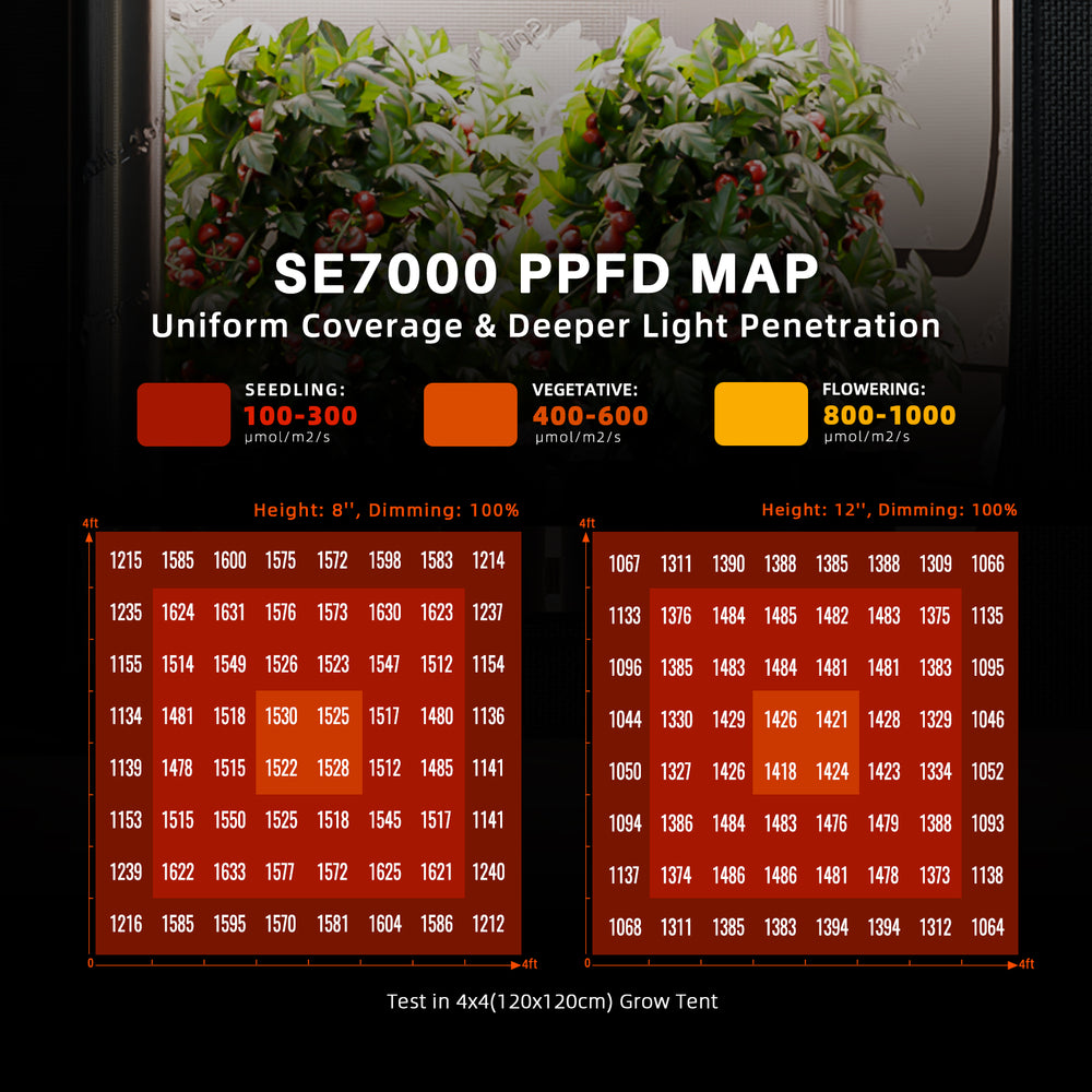 Spider Farmer SE7000 730W LED Grow Light – Smart App Control for 4x4 and 5x5 Grow Tents SE7000 PPDF map for uniform coverage and deeper light penetration with plant images.