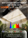 Spider Farmer 4x4x6.5 Grow Tent Kit – SF4000 EVO LED, Speed Controller & 6 Ventilation System light features 