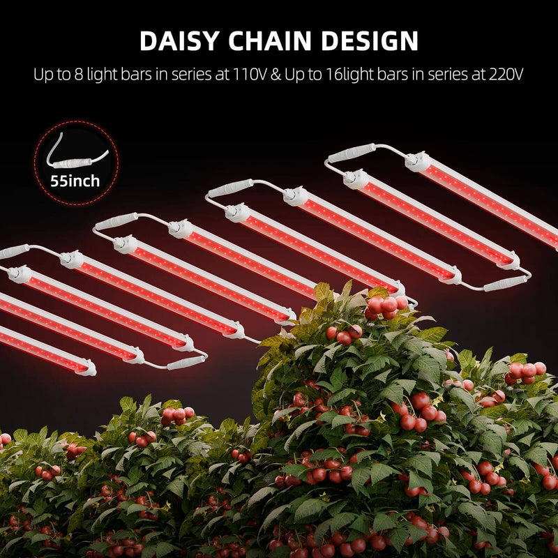 Spider Farmer GlowR80 LED light bars with daisy chain design on a black background, used for plant lighting.