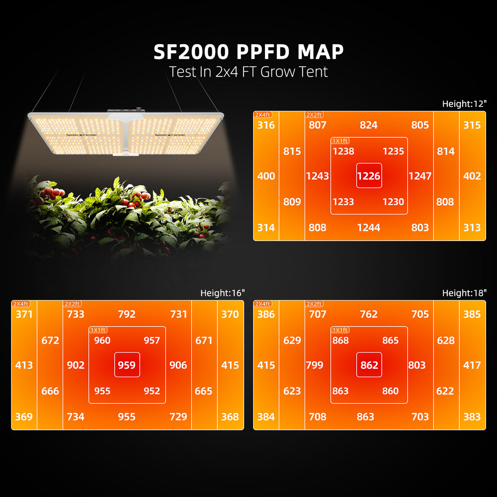 Spider Farmer SF2000 200W LED Grow Light – Full-Spectrum Coverage for 2×4 Grow Tents SF2000 PPFD map test in a 2x4 FT grow tent with plant growth shown.