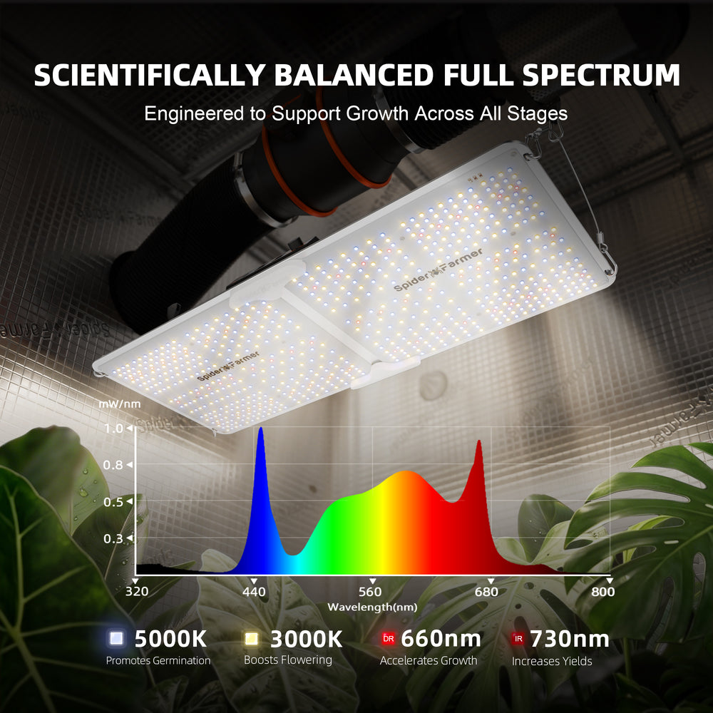 Spider Farmer SF2000 200W LED Grow Light – Full-Spectrum Coverage for 2×4 Grow Tents LED grow light with scientific balance chart for plant growth