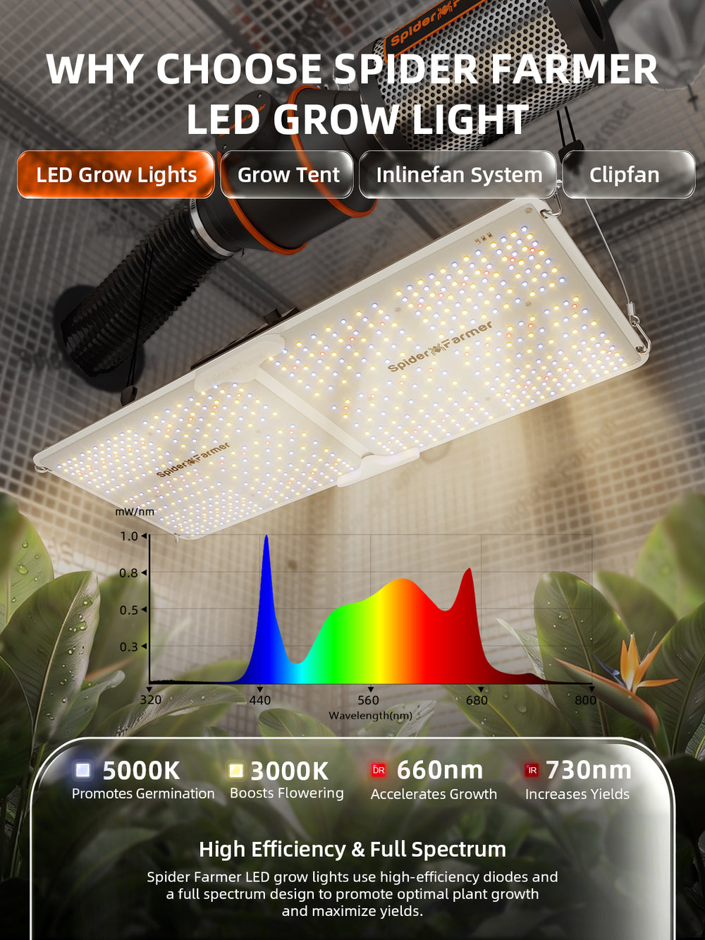 Spider Farmer 2x4x6 Grow Tent Kit – SF2000 EVO LED, Speed Controller & Smart Climate System light features 