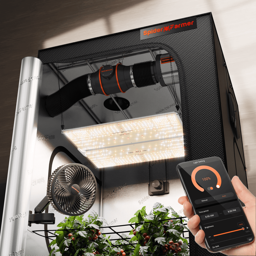 Spider Farmer 4x4x6.5 Grow Tent Kit – SF4000 EVO LED, Speed Controller Spider Farmer indoor grow tent with LED lighting and smartphone app control, on a wooden surface.