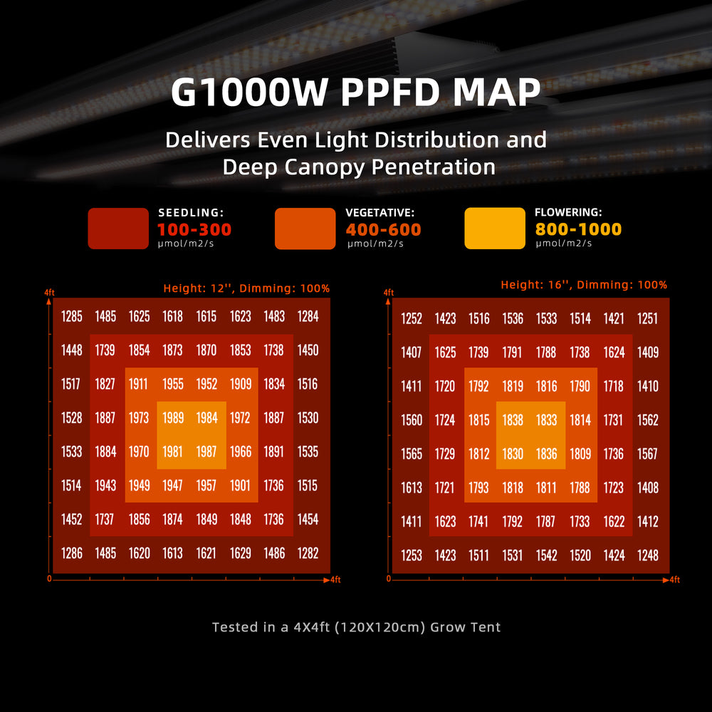 Spider Farmer G1000W Smart LED Grow Light – Commercial-Grade 5x5 Coverage G1000W PPFD Map for even light distribution in a grow tent