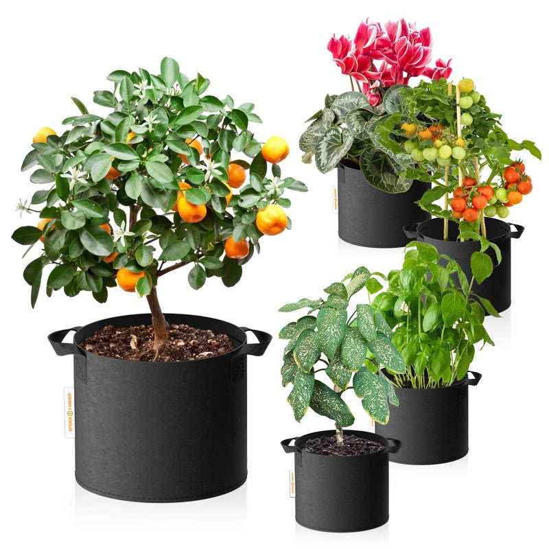 5-pack 11 gallon grow bags Heavy Duty 300G Thickened Nonwoven Plant Fabric Pots with Handles