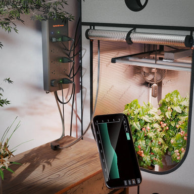 Spider Farmer GGS AC10 Power Strip with 10 Outlets lifestyle image