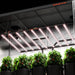 Spider Farmer SE-1200 LED Grow Light 1200W lifestyle image