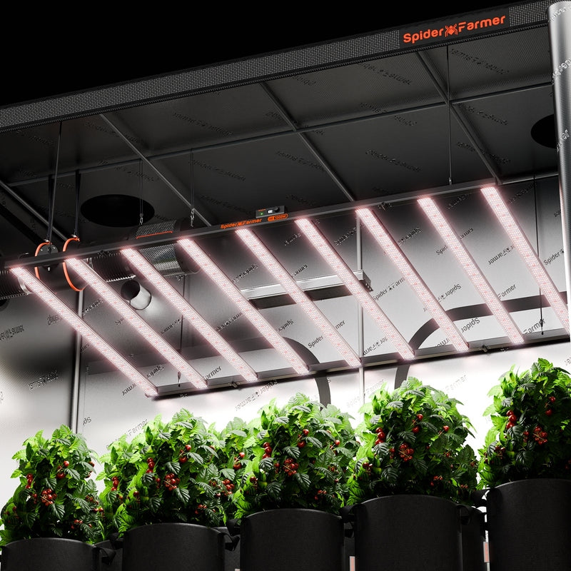 Spider Farmer SE-1200 LED Grow Light 1200W lifestyle image