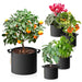 Spider Farmer SE5000 Complete Grow Tent Kit W/ Ventilation System / Thermostat Controller 4x4 grow bags lifestyle image