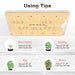 Spider Farmer SF-1000D LED Grow Light 100W using tips