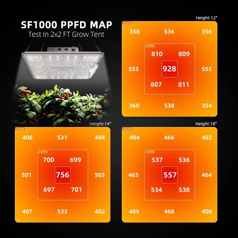 Spider Farmer SF-1000 LED Grow Light 100W ppfd map.
