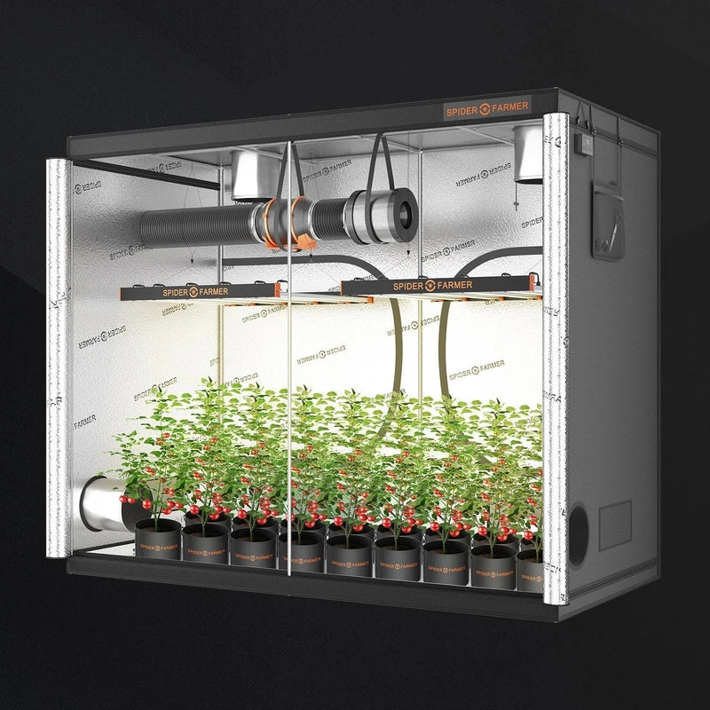 Spider Farmer SF-240cm x 120cm x 200cm Indoor Grow Tent 8x4 front view open
