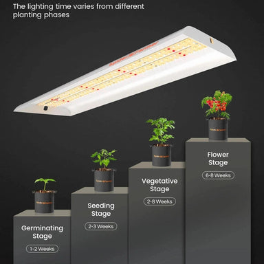 Spider Farmer SF-300 LED Grow Light 33W example