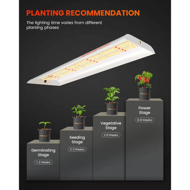 Spider Farmer SF-300 LED Grow Light 33W planting recommendation