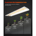Spider Farmer SF-300 LED Grow Light 33W planting recommendation