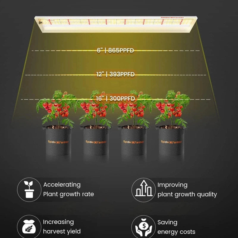 Spider Farmer SF-600 LED Grow Light 74W example