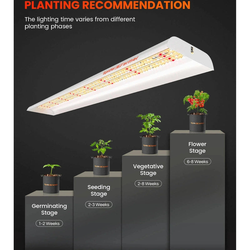 Spider Farmer SF-600 LED Grow Light 74W planting recommendations