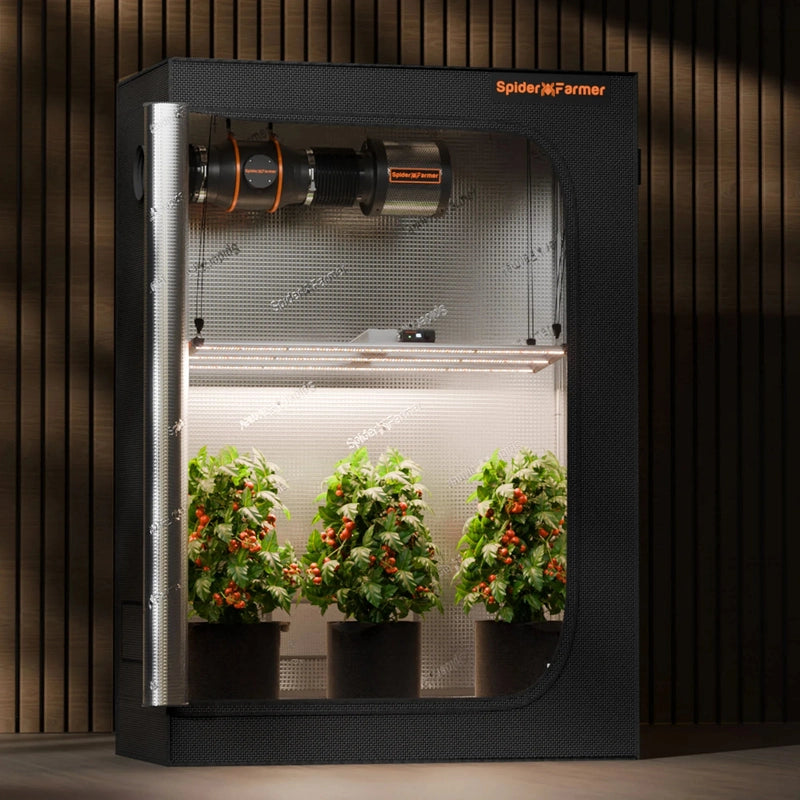 Spider Farmer SF-G4500 LED Grow Light 320W kit lifestyle image