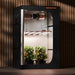Spider Farmer SF-G5000 LED Grow Light 480W lifestyle image