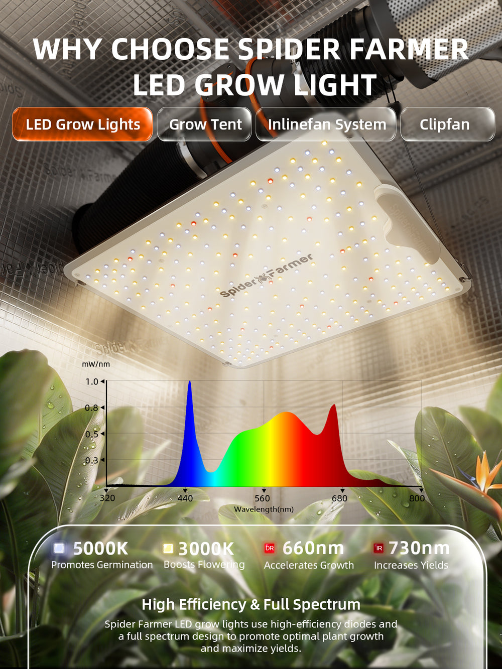 Spider Farmer 2x2 Grow Tent Kit – SF1000 EVO LED, Speed Controller & Full Ventilation Setup light features 