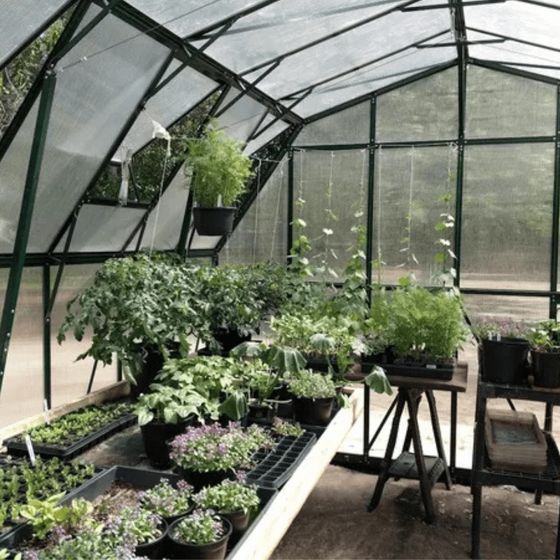 Grandio Summit Greenhouse inside view with plants all around 