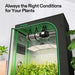 Vivosun 4x2 Starter Grow Tent Kit – 200W LumaLight & GrowHub A22 always the right Condition for your plants 