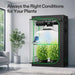 Vivosun 4x2 Smart Grow Tent Kit Pro growing plants under AeroLight Gen2 240W with smart ventilation and environmental control