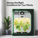 Vivosun 4x2 Starter Grow Tent Kit – 200W LumaLight & GrowHub A22 indoor grow tent with plants inside, labeled 'Always the Right Conditions for Your Plants'.