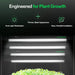 Vivosun Clone Tent Kit 24" x 16" x 20" with GrowHub A22 Controller engineered for plant growth 