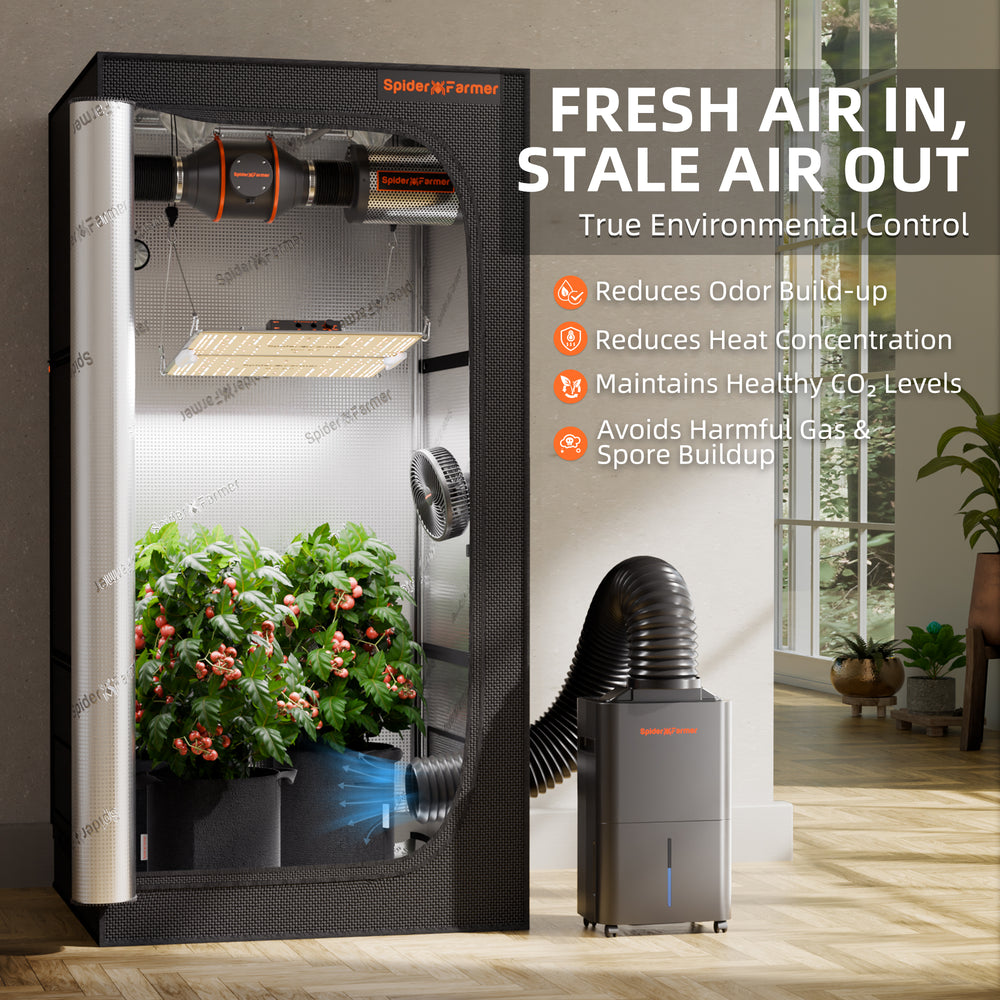 Spider Farmer 32-Pint Dehumidifier – Smart Humidity Control for Grow Tents Gardening setup with a Spider Farmer unit in a room with plants and a window.