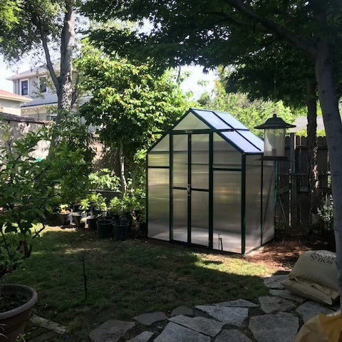 Grandio Element Greenhouse in back yard wooded