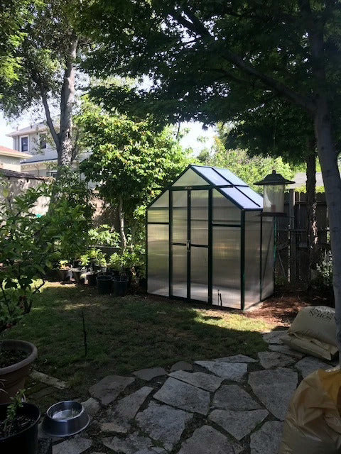 Grandio Element Greenhouse in back yard wooded 