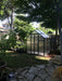 Grandio Element Greenhouse in back yard wooded 