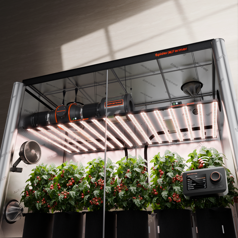 Spider Farmer 5'x10'x6.5' Grow Tent Kit – 2x G1000W Gardening system with plants, lights, and control panel inside a greenhouse.