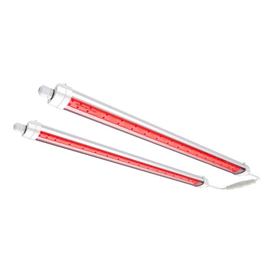 Spider Farmer GlowR40  Two red light emitting diodes on a white background
