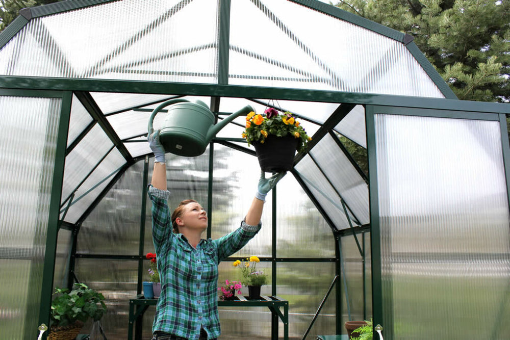 Grandio Elite Greenhouse 8×8