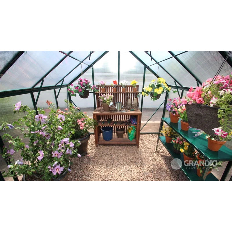 Grandio Ascent Greenhouse 8x8 – Twin-Wall Panels, Nearly 8′ Tall, All-Weather Design
