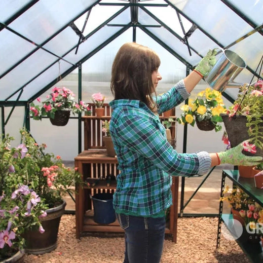 Grandio Ascent Greenhouse 8x8 – Twin-Wall Panels, Nearly 8′ Tall, All-Weather Design