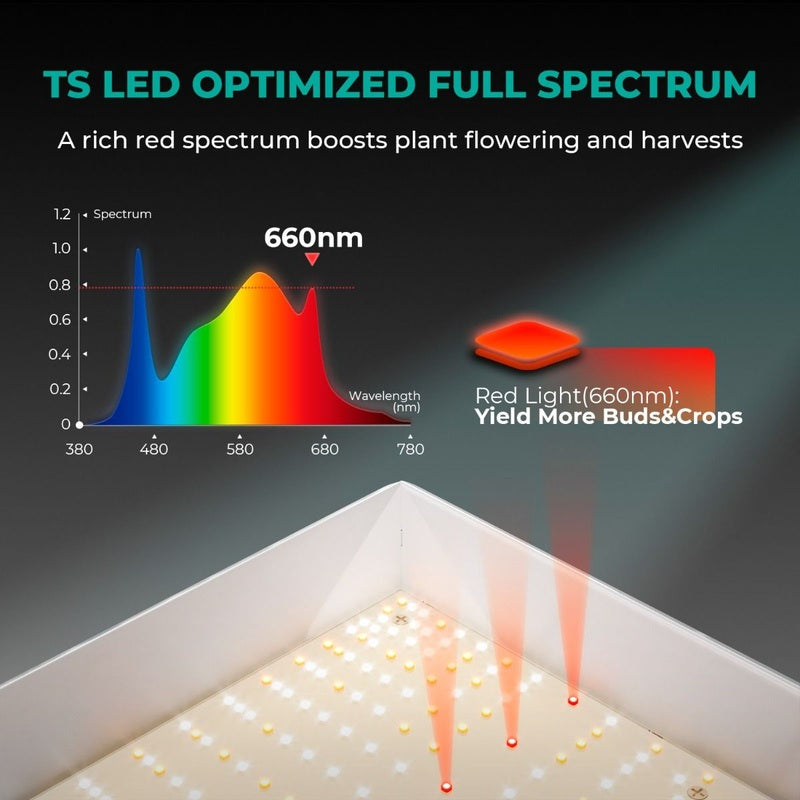 Mars Hydro TS3000 5'x5' Grow Tent Kit – 450W Full Spectrum LED, Complete Indoor Setup