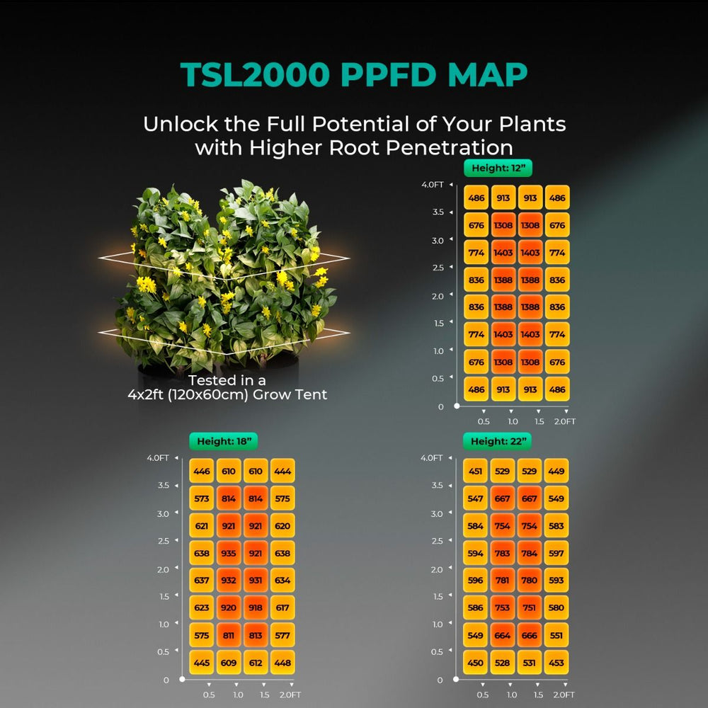 Mars Hydro TSL2000 300W LED 2x4 Complete Grow Tent Kit TSL2000 PPFD map for plant growth with a visual of plants and measurement chart.