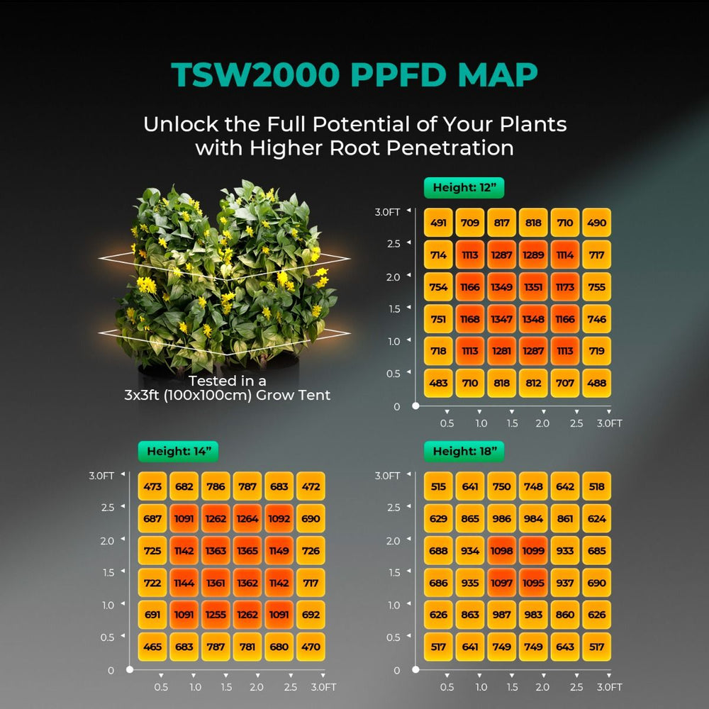 Mars Hydro TSW2000 300W LED 4x4 Complete Grow Tent KitTSW2000 PPFD Map for plant growth with a visual of plants and measurement chart.