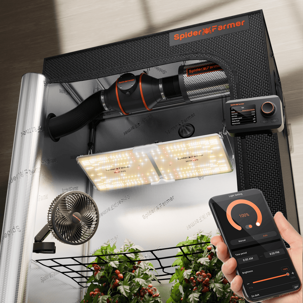 Spider Farmer 2x4 Complete Grow Tent Kit – SF2000 EVO, GGS Controller  indoor gardening system with LED lights and smartphone app control.