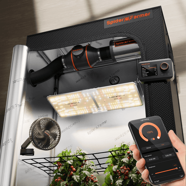 Spider Farmer 2x4 Complete Grow Tent Kit – SF2000 EVO, GGS Controller  indoor gardening system with LED lights and smartphone app control.
