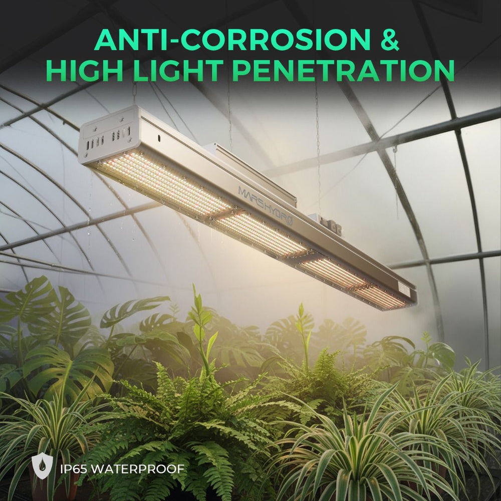 Mars Hydro SP3000 300W LED 2' x 4' Complete Grow Tent Kit anti corrosion metal for light 