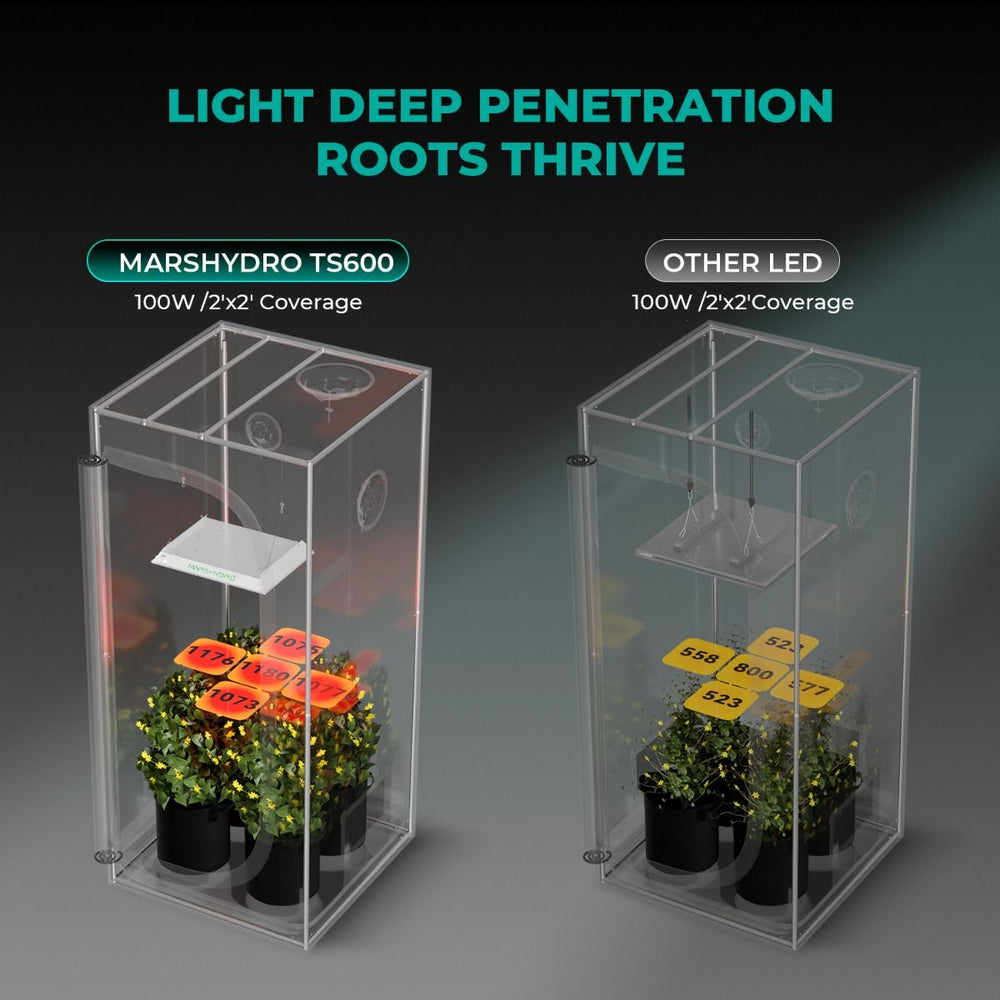 Mars Hydro TS600 2' × 2' Complete Grow Tent Kit – All-in-One Beginner Growing System Comparison of plant growth under Marshydro TS600 LED lights versus other LED lights.