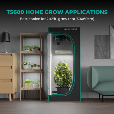 Mars Hydro TS600 2' × 2' Complete Grow Tent Kit – All-in-One Beginner Growing System TS600 home grow tent in a living room setting with plants inside