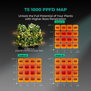Mars Hydro TS1000 150W 2.6' x 2.6' Smart Grow Tent Kit – iControl System TS 1000 PPFD Map for plant growth with a digital plant model and measurement grid.